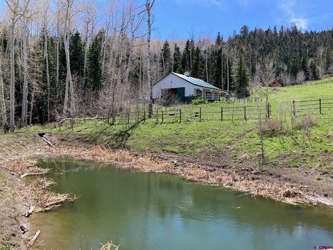 Mountain Equestrian Property