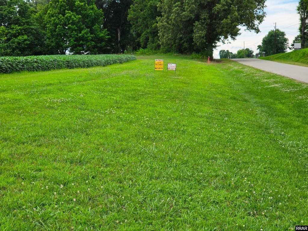 Picture 13