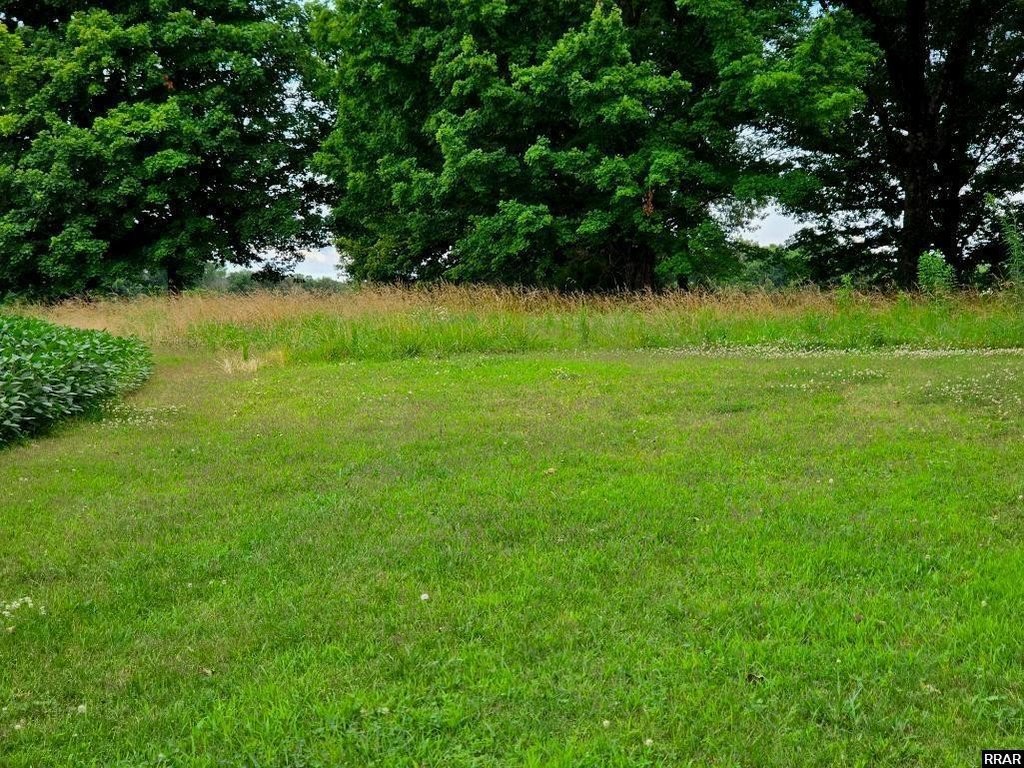 Picture 12