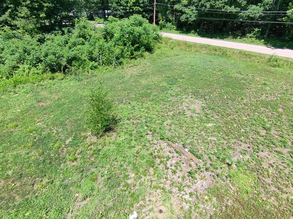 Picture 3