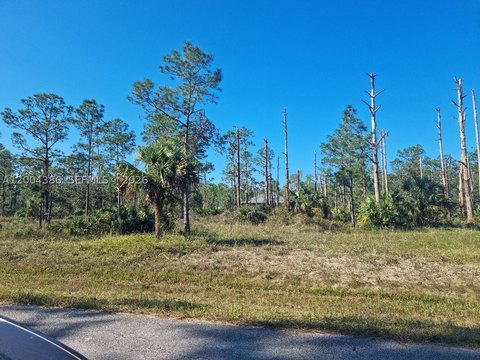 Half-Acre Residential Lot in Alva