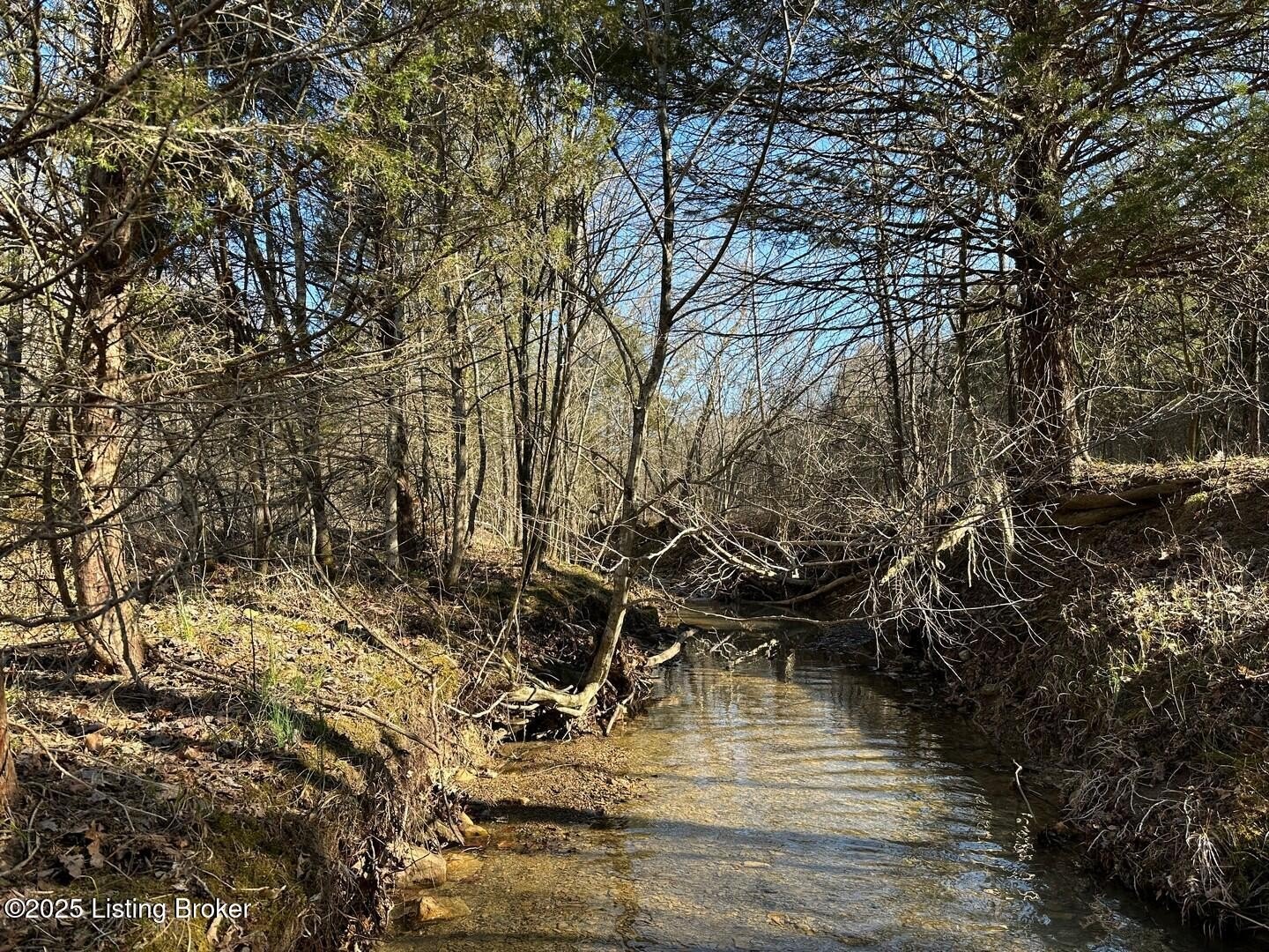 Land For Sale, Caneyville, KY