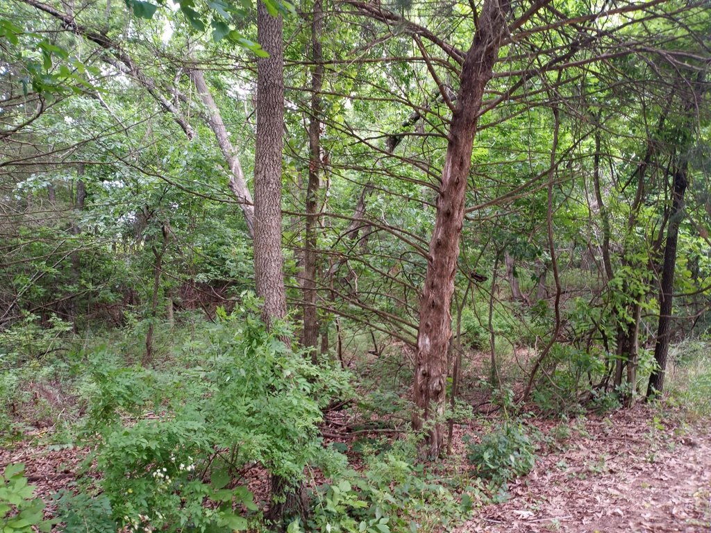 Picture 10