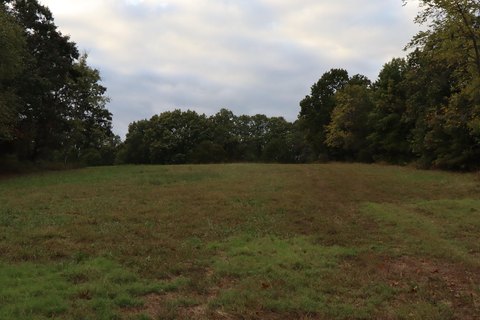 Hunting Land with Timber