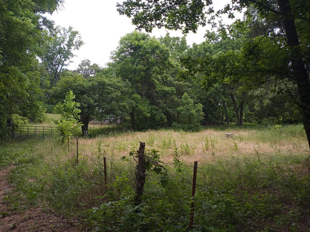 Picture 8