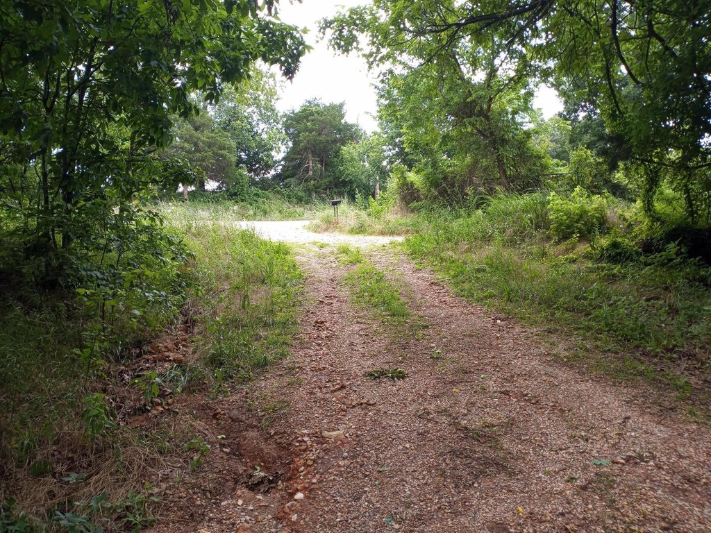 Picture 7