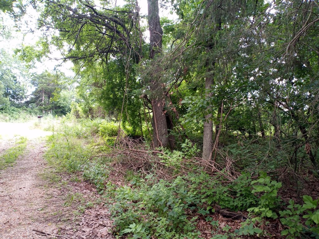 Picture 9