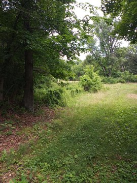 79.71 Acres of Family Land