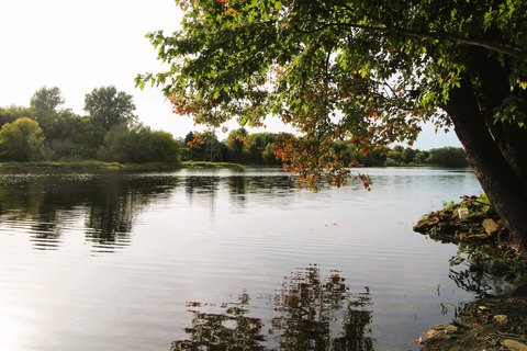 Waterfront Land on Oswegatchie River
