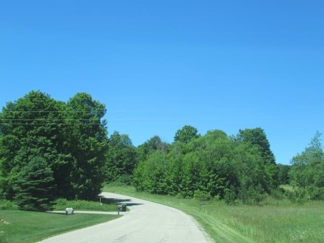 Picture 5