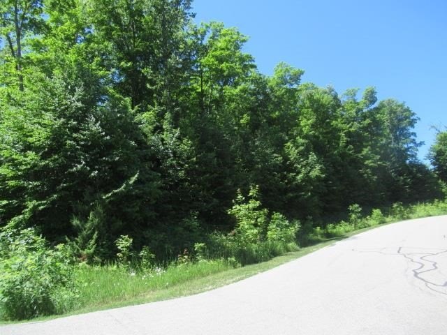 Picture 6
