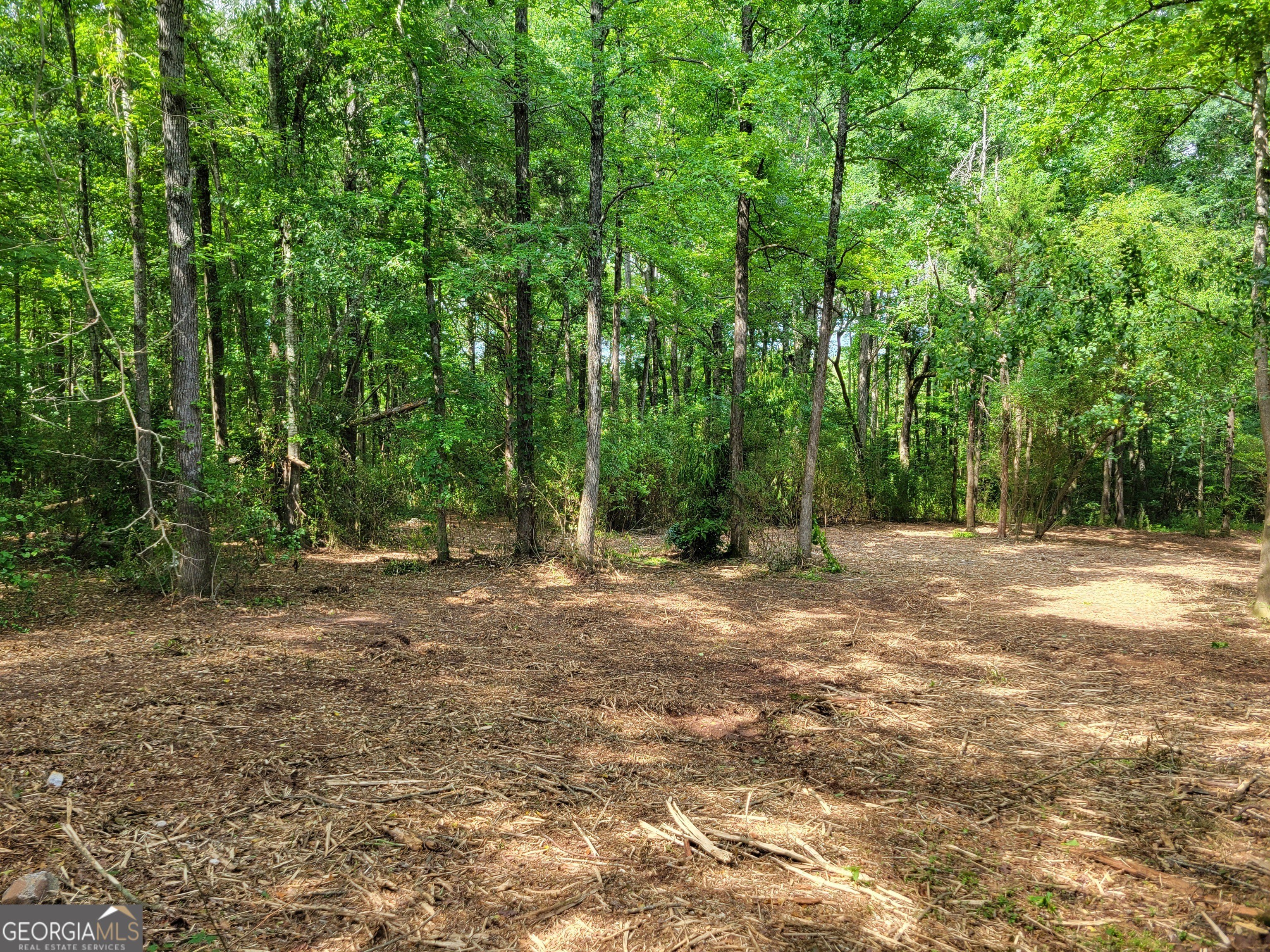 Residential Land in Yatesville, GA