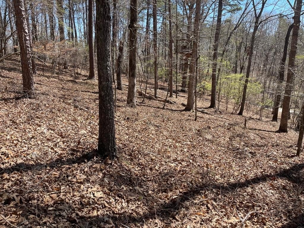 Picture 19