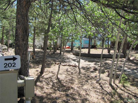 Unimproved Land - Hartsel, CO