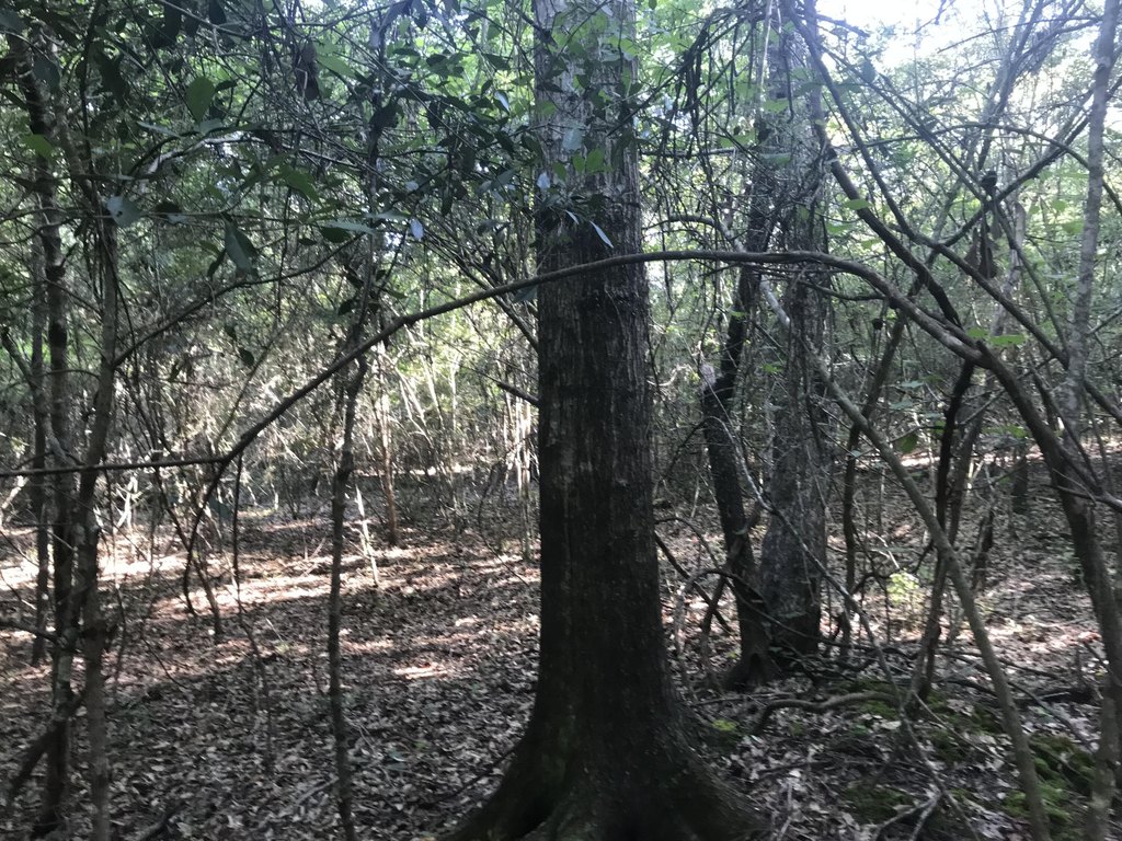 Picture 5
