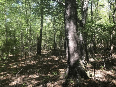 County-Zoned Land Parcel