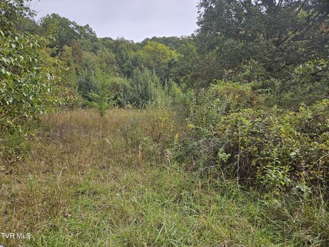 Land, Bristol, VA