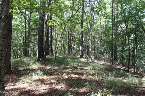 Amite County Land for Sale