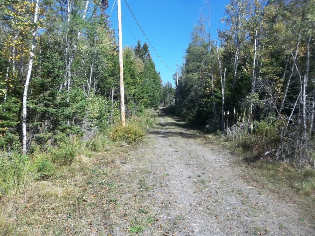 Picture 9