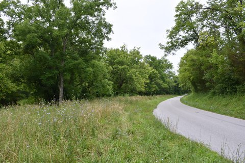 260+ Acres in Foster, KY