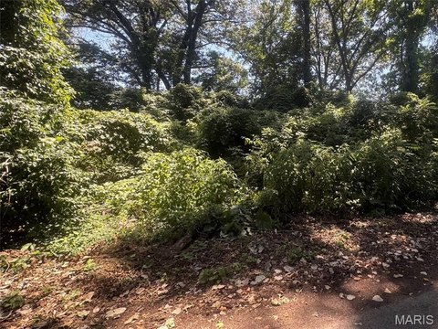 LAND - Poplar Bluff, MO