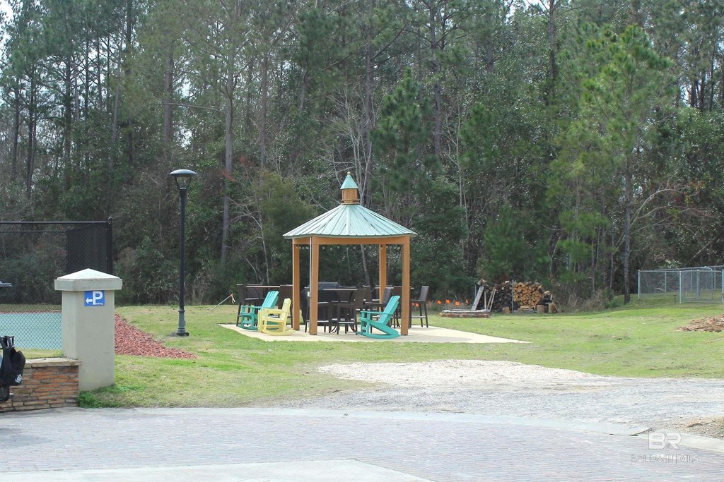 Picture 47
