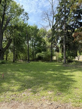 LAND - Kalamazoo, MI