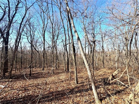 Land Near Beaver Lake