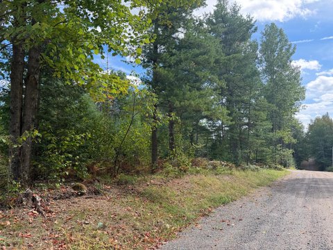 Land, Minocqua, WI