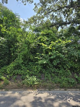 LAND - Tyler, TX