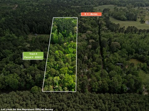 Heavily Wooded Land in Gilmer