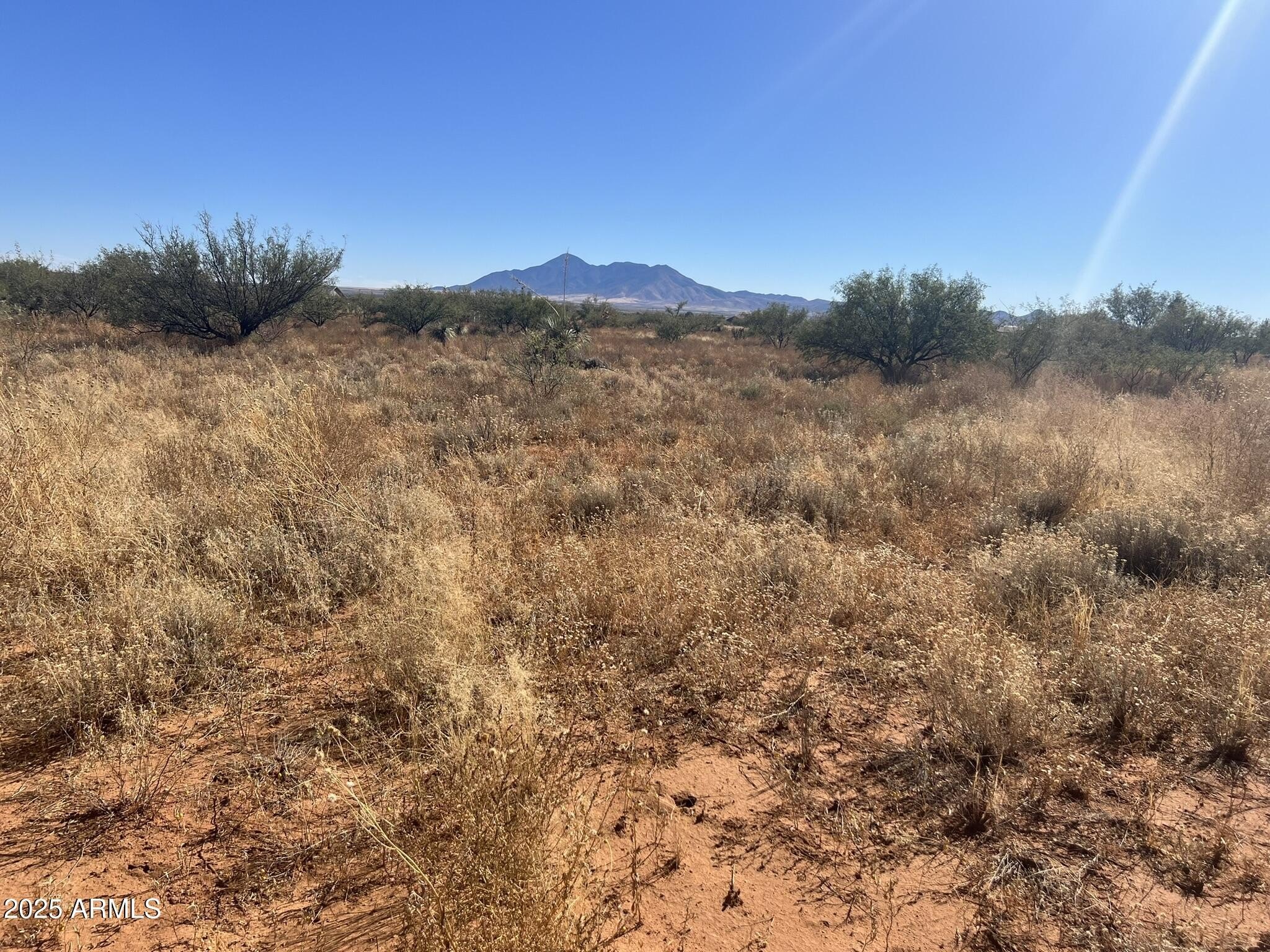 Hereford Land with Mountain Views