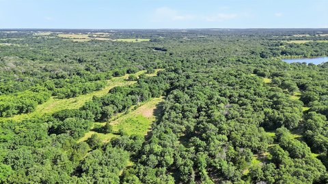 Hunting and Recreational Land