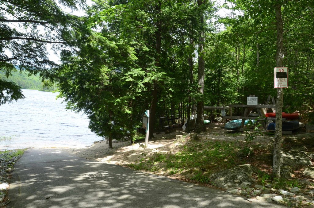Picture 6