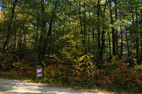 Land, Alton, NH
