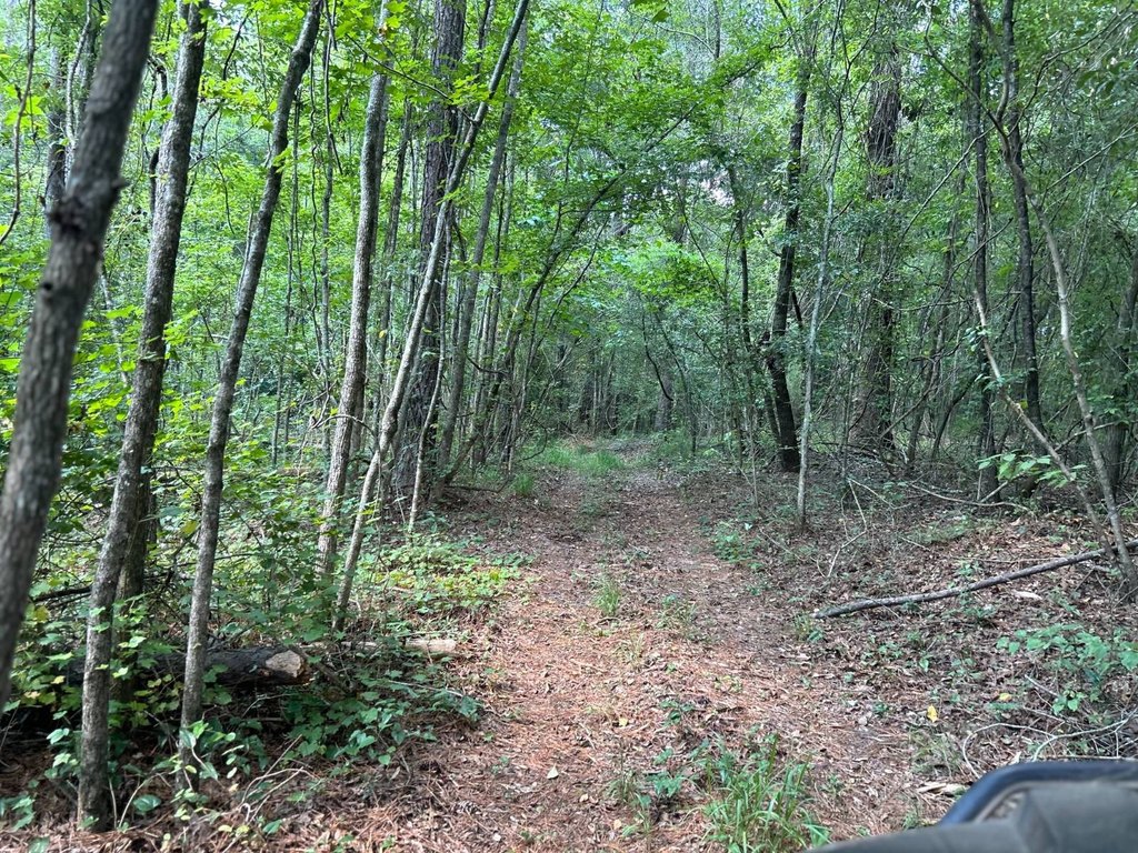 Picture 4