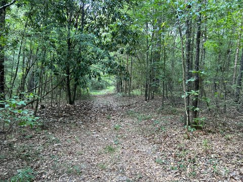Recreational Land with Road Access