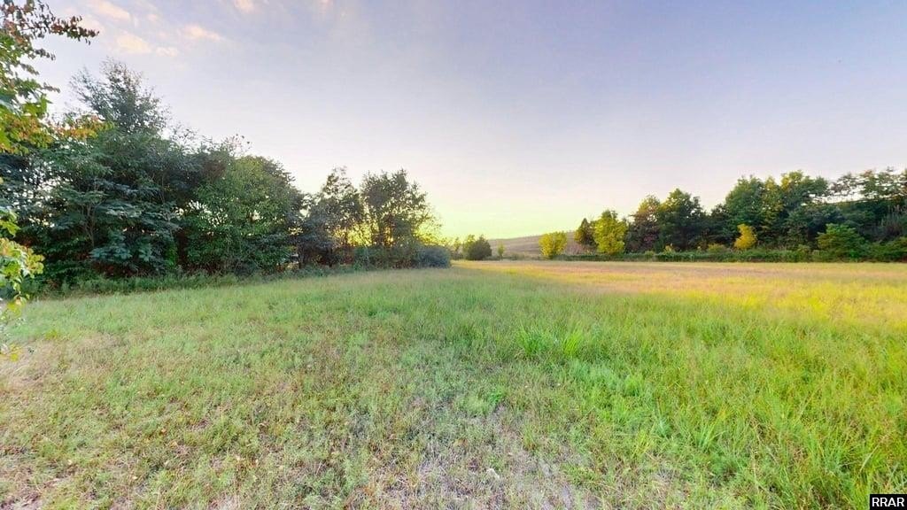 Picture 19