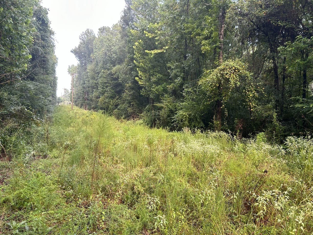 Ethel, LA Vacant Land