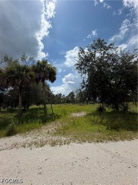 LAND - Clewiston, FL