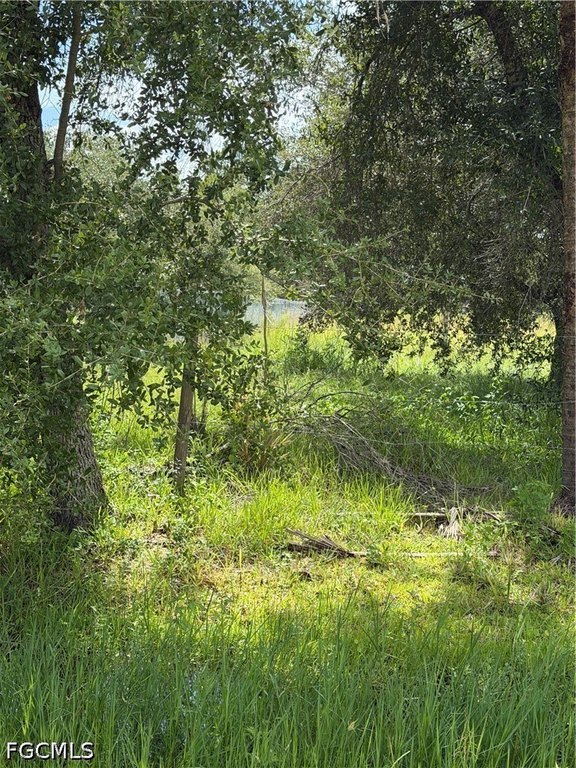 Picture 3