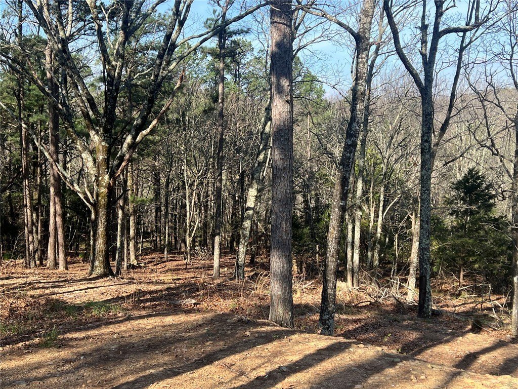 Picture 15