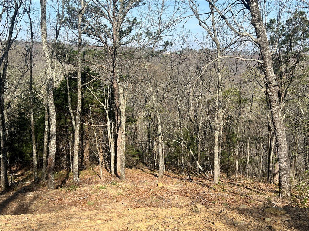 Picture 16