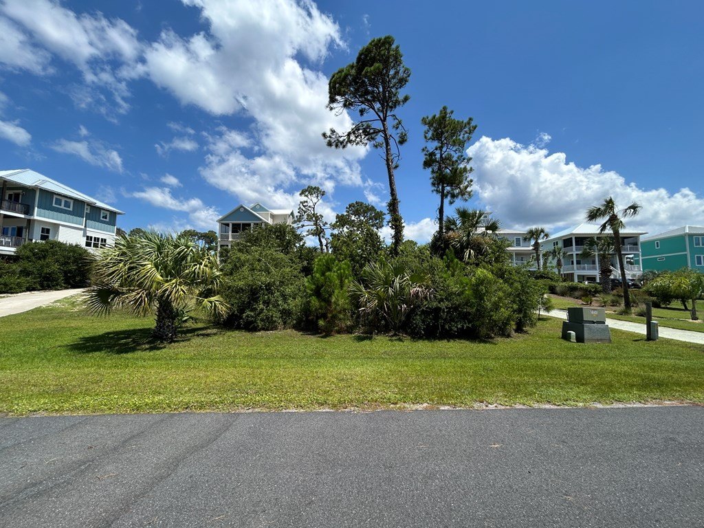 Picture 6