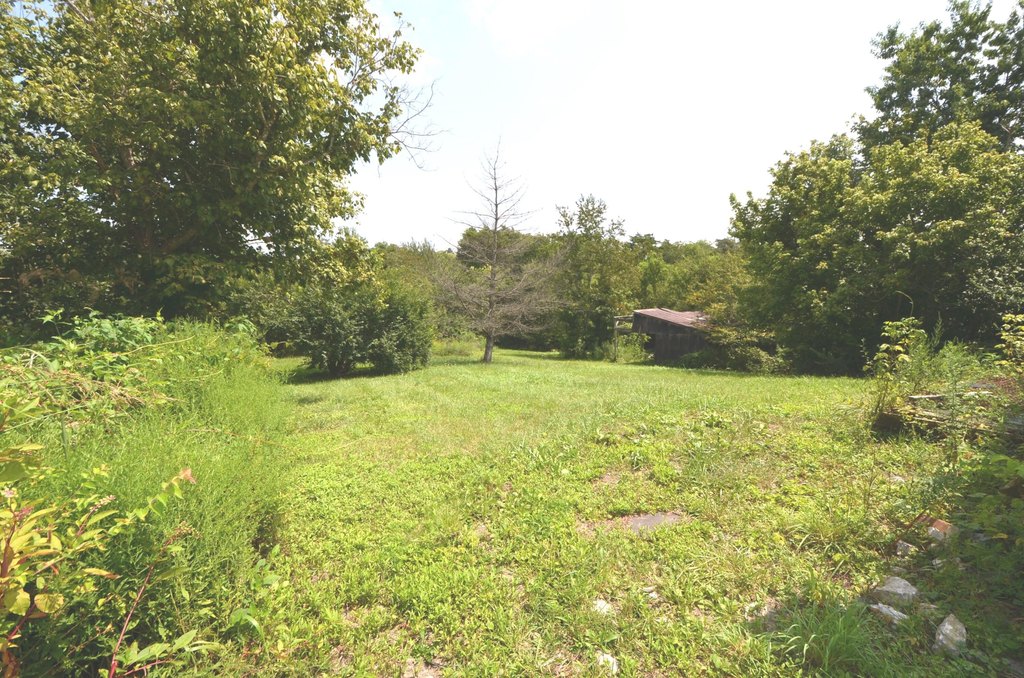 Picture 5
