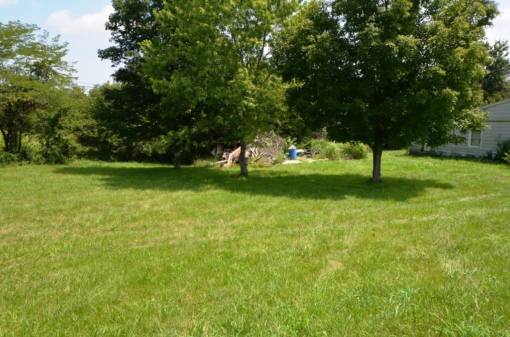 Picture 4