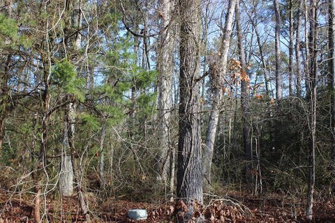 Oversized Lot in Captains Cove