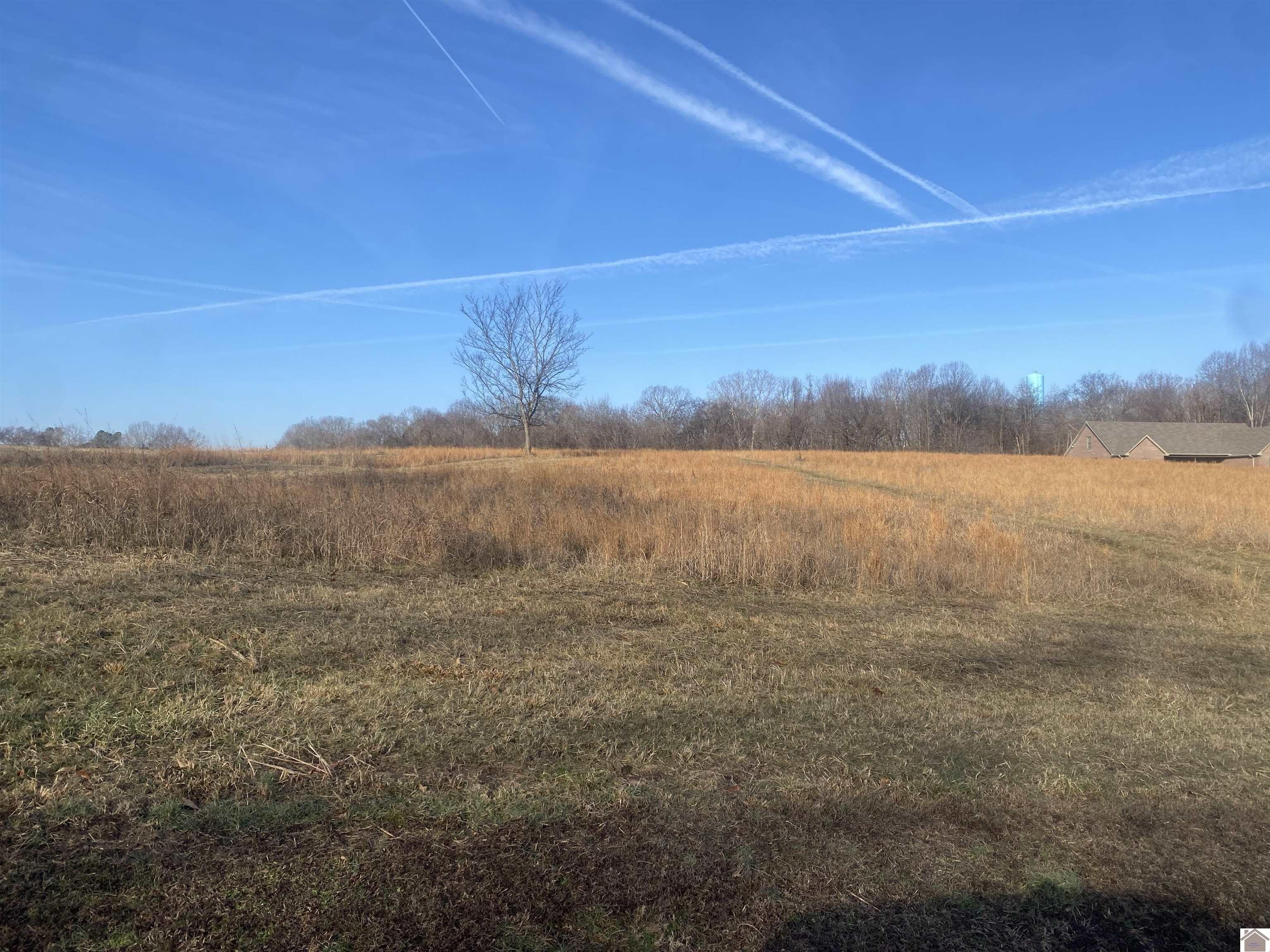 Cadiz, KY Land Opportunity
