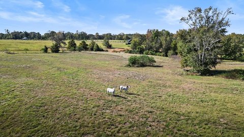 Pastureland with Utilities and Barn