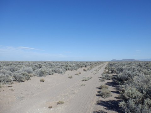 318+ Acres of Mountain View Land